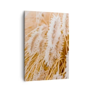 Impression sur toile - Image sur toile - Gros plan d'herbes dorées et délicates au soleil - 50x70cm - Le bruissement doré de l'herbe - Décoration murale moderne pour le salon et la chambre ARTTOR