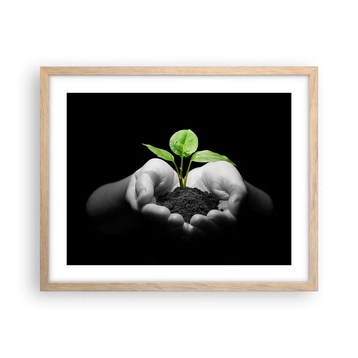 Affiche dans un chêne clair - Poster - J'aime la nature, je la protège - 50x40 cm
