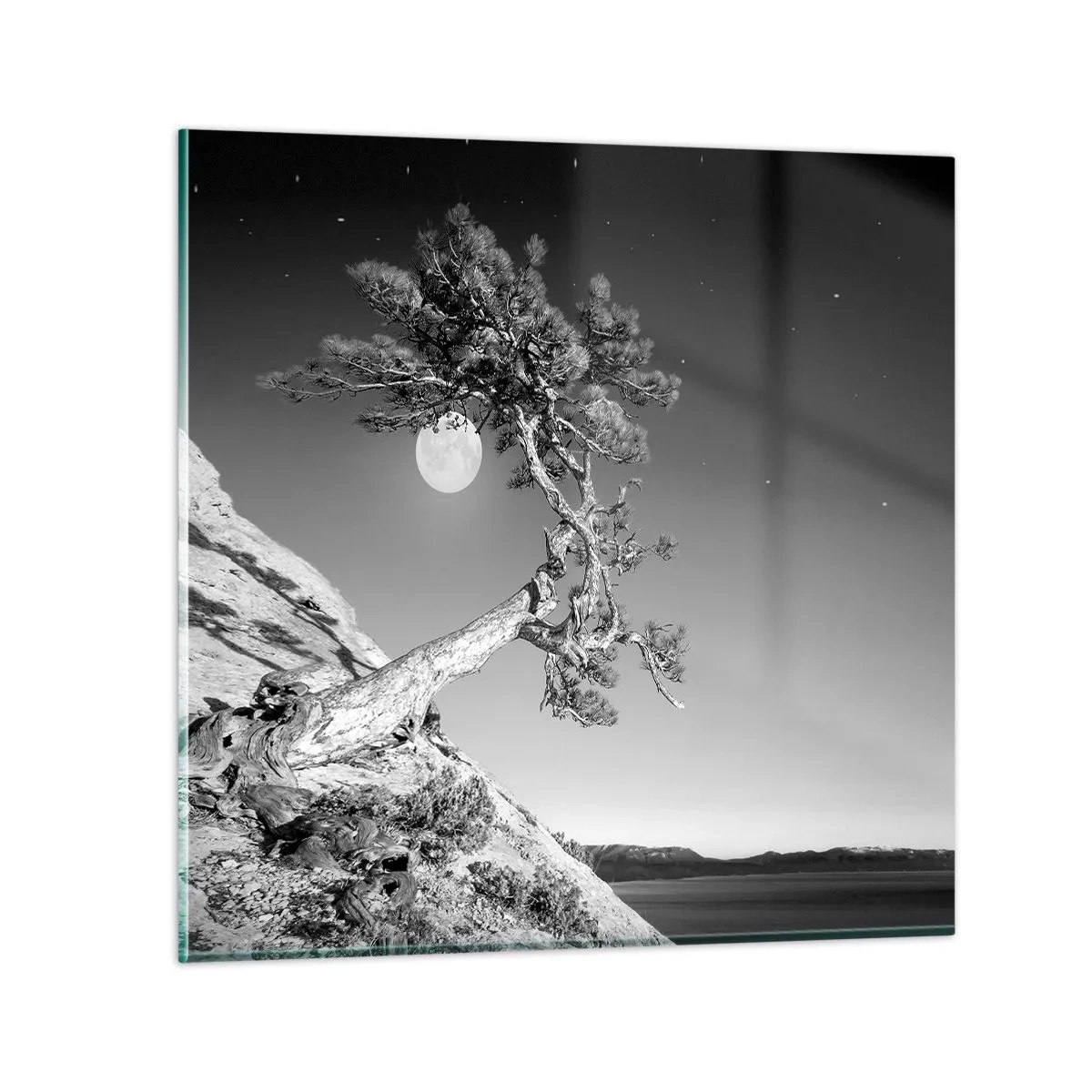 Impression sur verre - Image sur verre - Un combattant vainqueur - 40x40 cm