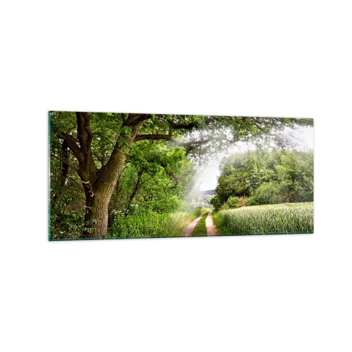 Impression sur verre - Image sur verre - Un chemin de terre parmi les arbres verts et la lumière du soleil - 120x50cm - Et in Arcadia ego - Décoration murale moderne pour le salon et la chambre ARTTOR