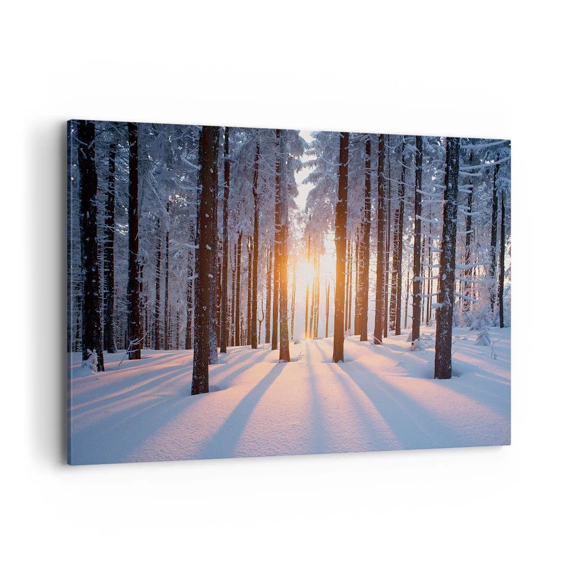 Impression sur toile - Image sur toile - Forêt d'hiver illuminée par les rayons du soleil - 120x80cm - Clairement en noir et blanc - Décoration murale moderne pour le salon et la chambre ARTTOR