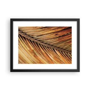 Affiche dans un cadre noir - Poster - Or de noix de coco - 40x30 cm