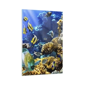 Impression sur verre - Image sur verre - Un récif corallien coloré avec des poissons tropicaux dans les profondeurs de l'océan. - 70x100cm - Beaucoup de circulation sur la route des vacances - Décoration murale moderne pour le salon et la chambre ARTTOR