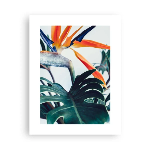 Affiche - Poster - Le buisson oiseaux - 30x40 cm