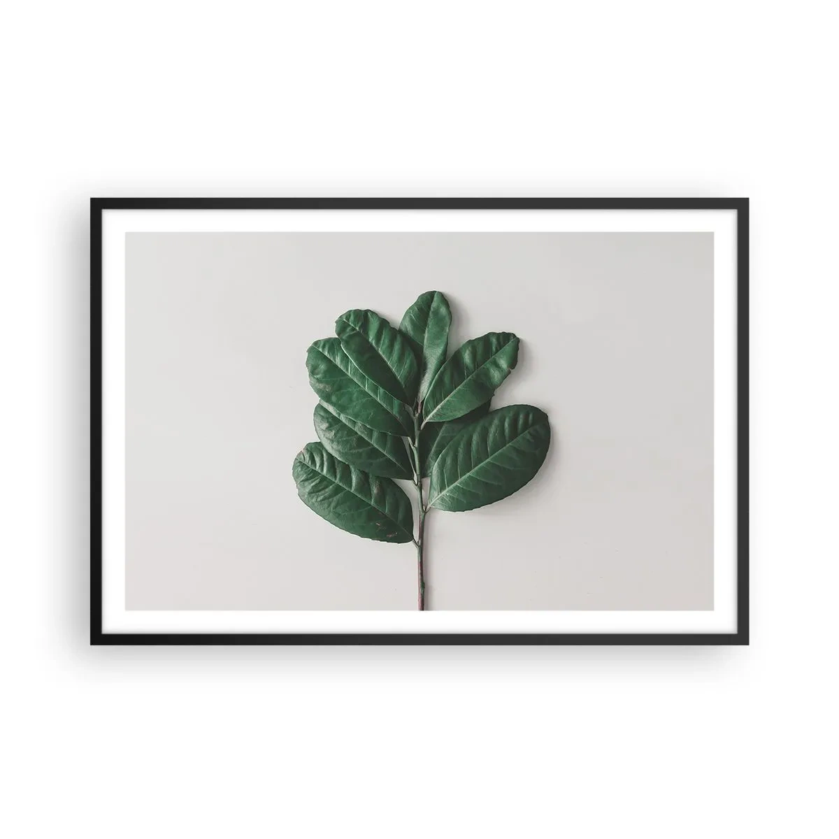 Affiche dans un cadre noir - Poster - Dessin de la nature elle-même - 91x61 cm