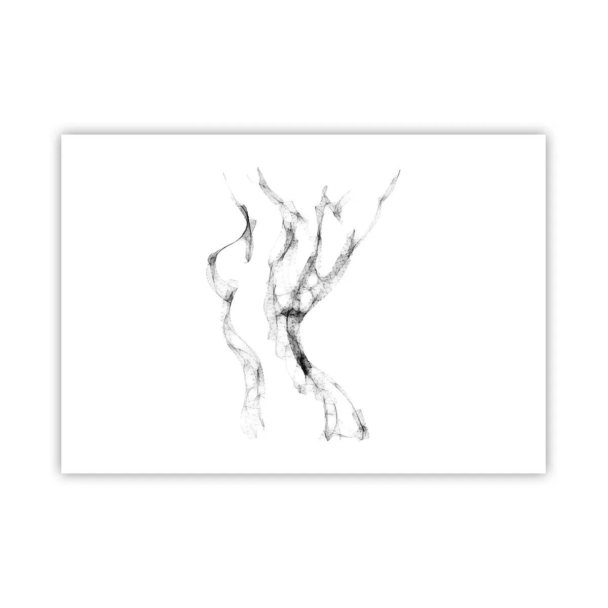 Affiche - Poster - Des lignes délicates et abstraites ressemblant à des traînées de fumée sur un fond clair - 100x70cm - Belle et forte - Décoration murale moderne pour le salon et la chambre ARTTOR