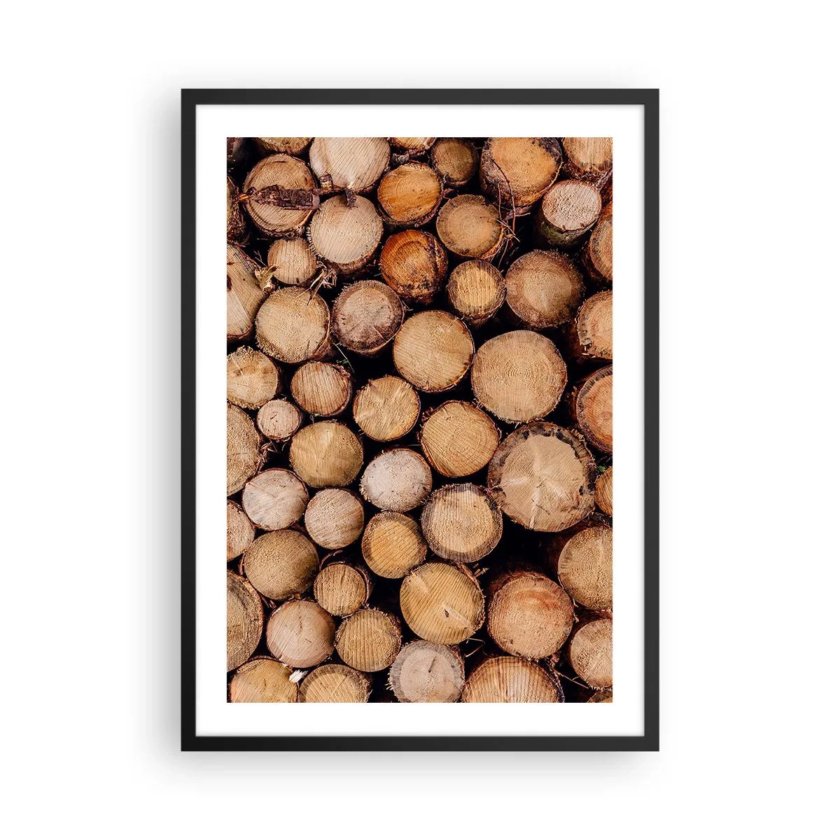 Affiche dans un cadre noir - Poster - Troncs d'arbres coupés naturellement dans un arrangement artistique - 50x70cm - Nouveau commencement - Décoration murale moderne pour le salon et la chambre ARTTOR