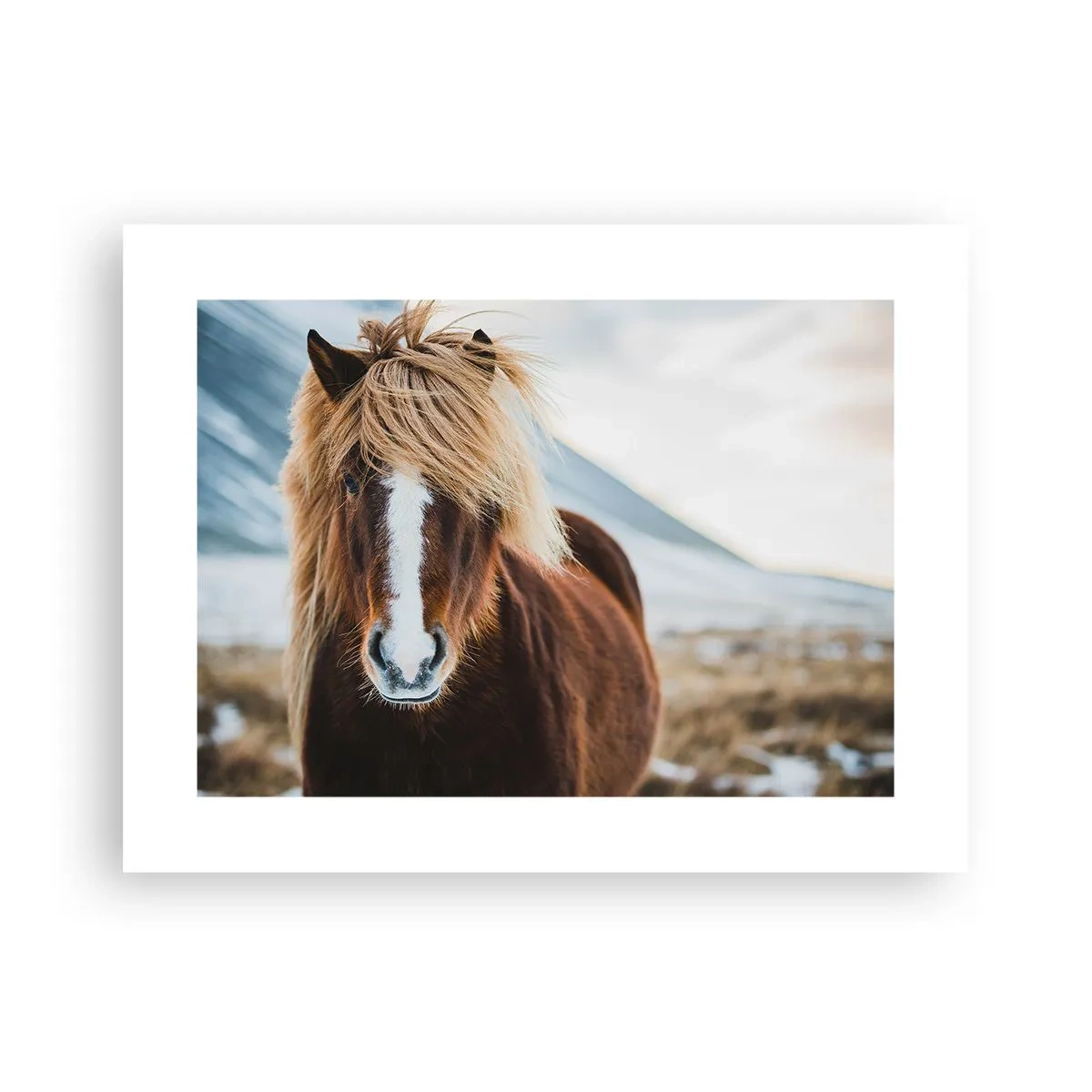 Affiche - Poster - Sentez-vous la liberté ? - 40x30 cm