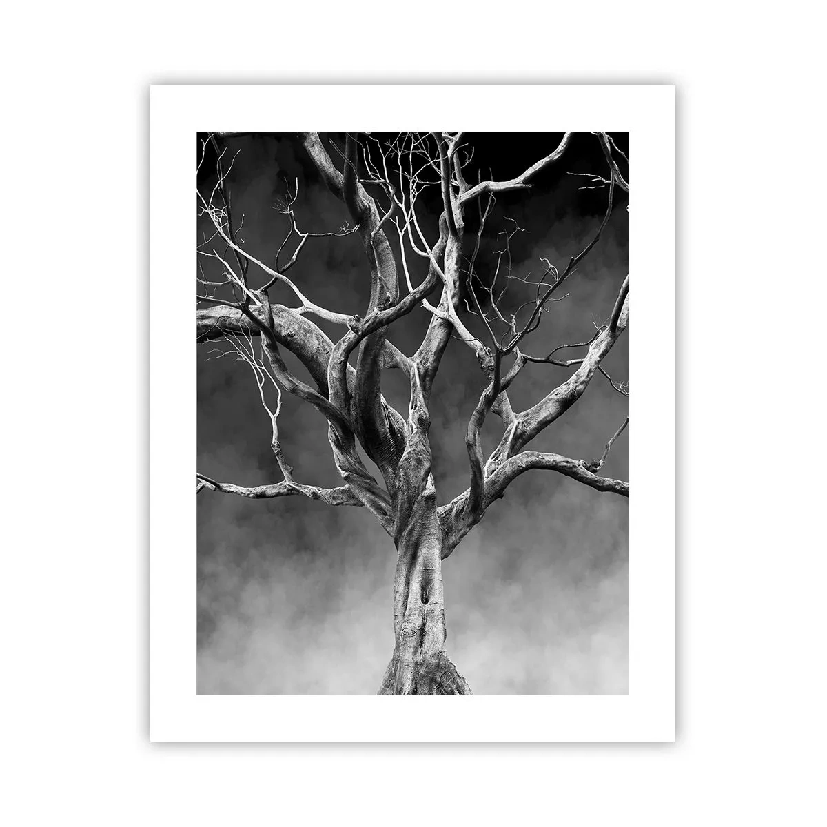 Affiche - Poster - Primordial et sacré - 40x50 cm