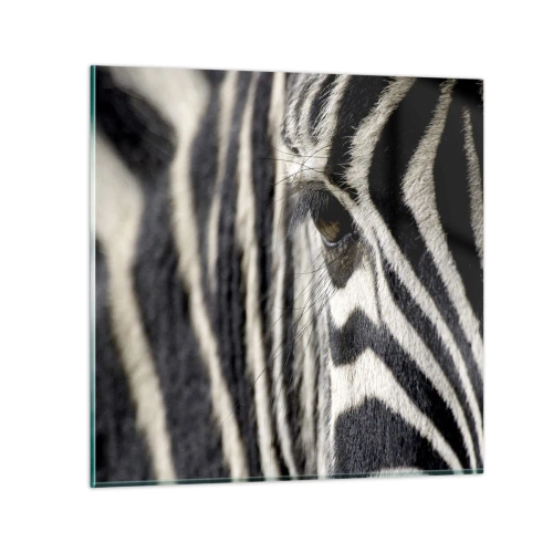 Impression sur verre - Image sur verre - Portrait en rayure - 40x40 cm