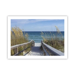 Affiche - Poster - Au soleil, sous le vent - 70x50 cm