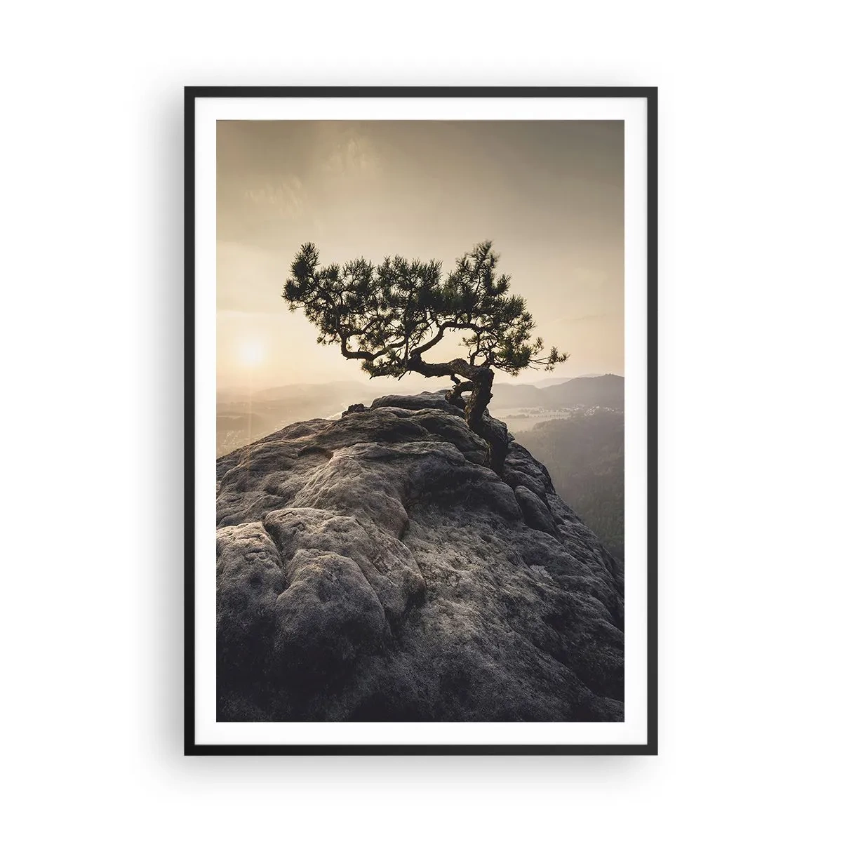 Affiche dans un cadre noir - Poster - La vie gagne toujours - 70x100 cm