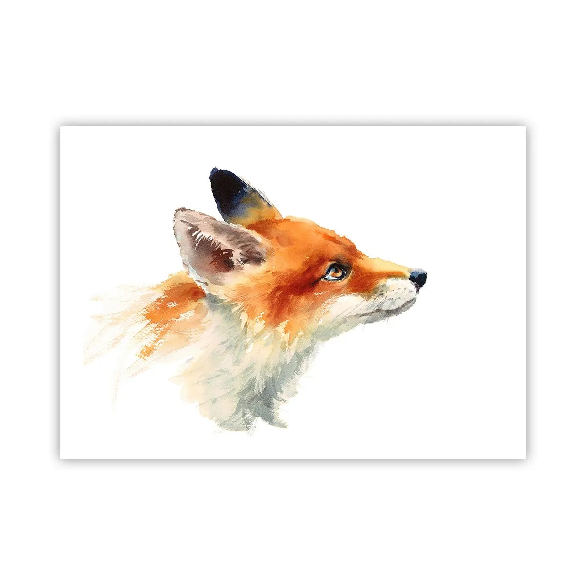 Affiche - Poster - Vous ne pouvez jamais être trop prudent - 70x50 cm