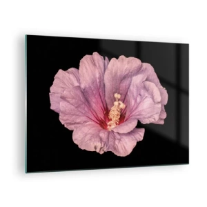 Impression sur verre - Image sur verre - Gros plan d'une fleur d'hibiscus rose sur fond noir - 70x50cm - Directement au coeur - Décoration murale moderne pour le salon et la chambre ARTTOR