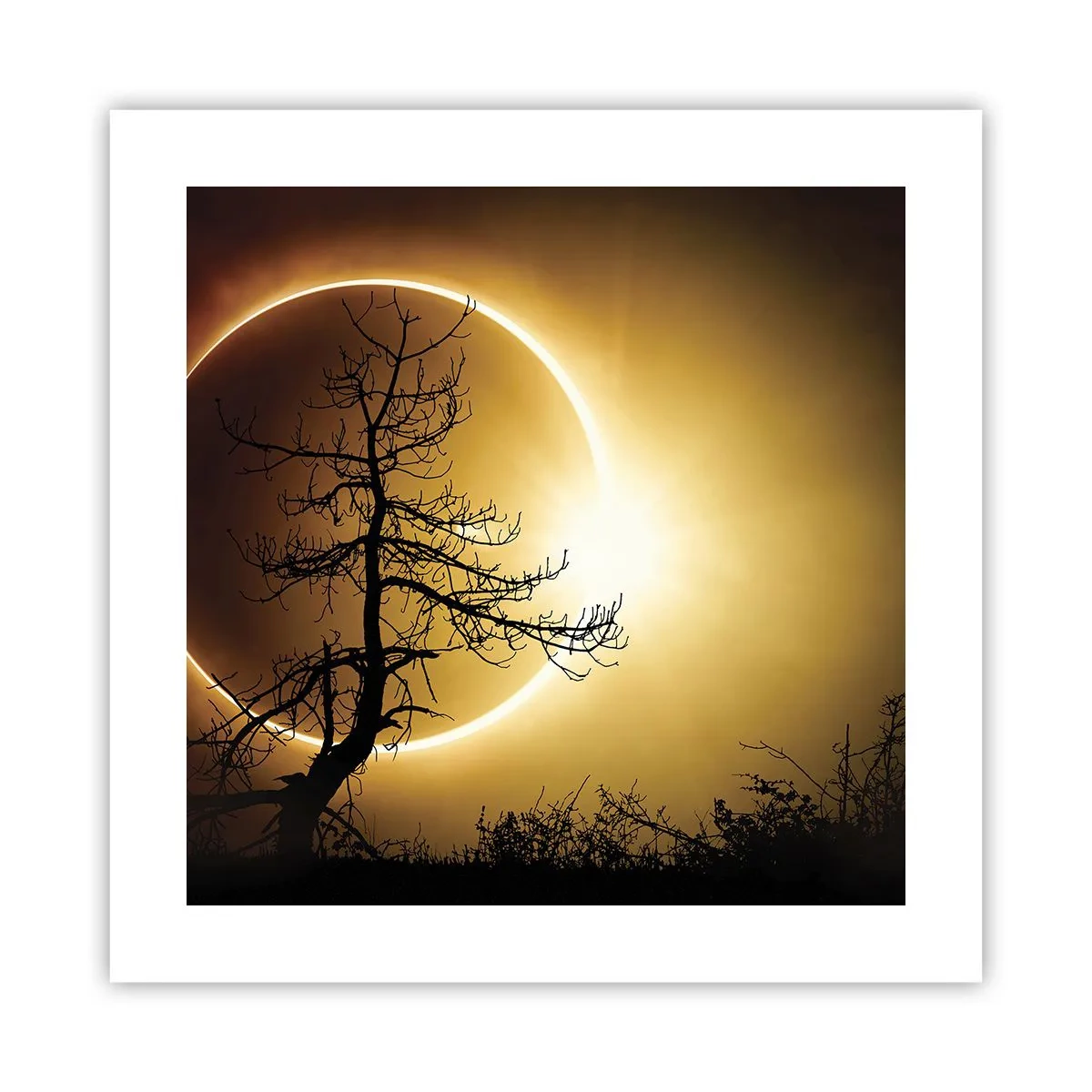 Affiche - Poster - Éclipse totale - 40x40 cm