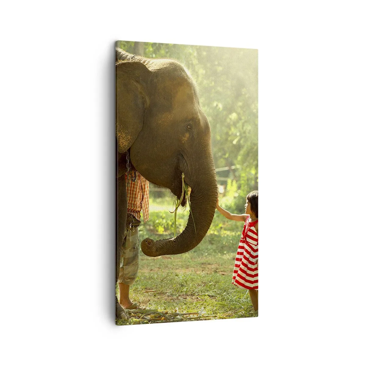 Impression sur toile - Image sur toile - La force de l'amitié - 45x80 cm