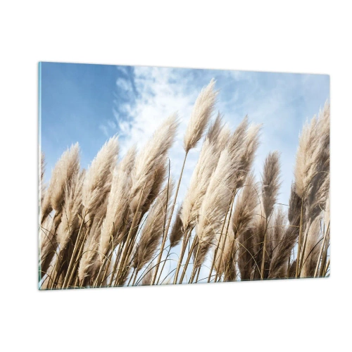 Impression sur verre - Image sur verre - Herbes de pampa décoratives contre un ciel bleu - 120x80cm - Caresse ensoleillée et venteuse - Décoration murale moderne pour le salon et la chambre ARTTOR