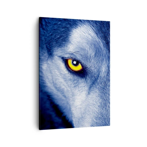 Impression sur toile - Image sur toile - Gros plan du regard intense d'un loup sur un fond sombre - 50x70cm - Regars hypnotique - Décoration murale moderne pour le salon et la chambre ARTTOR