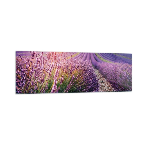 Impression sur verre - Image sur verre - Champ de lavande au coucher du soleil - 160x50cm - Tige parfumée - Décoration murale moderne pour le salon et la chambre ARTTOR