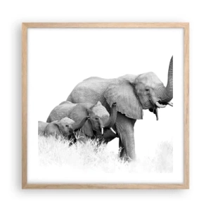 Affiche dans un chêne clair - Poster - Un, deux, trois - 50x50 cm