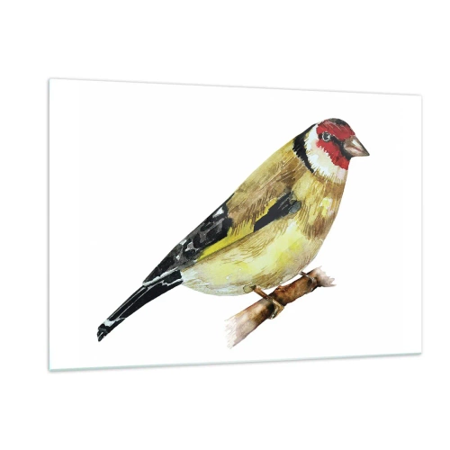 Impression sur verre - Image sur verre - Oiseau aquarelle sur une branche aux couleurs délicates - 120x80cm - Portrait d'oiseau - Décoration murale moderne pour le salon et la chambre ARTTOR