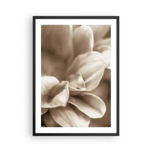 Affiche dans un cadre noir - Poster - Gros plan de délicats pétales de fleurs aux tons sépia - 50x70cm - Doux comme un sourire - Décoration murale moderne pour le salon et la chambre ARTTOR