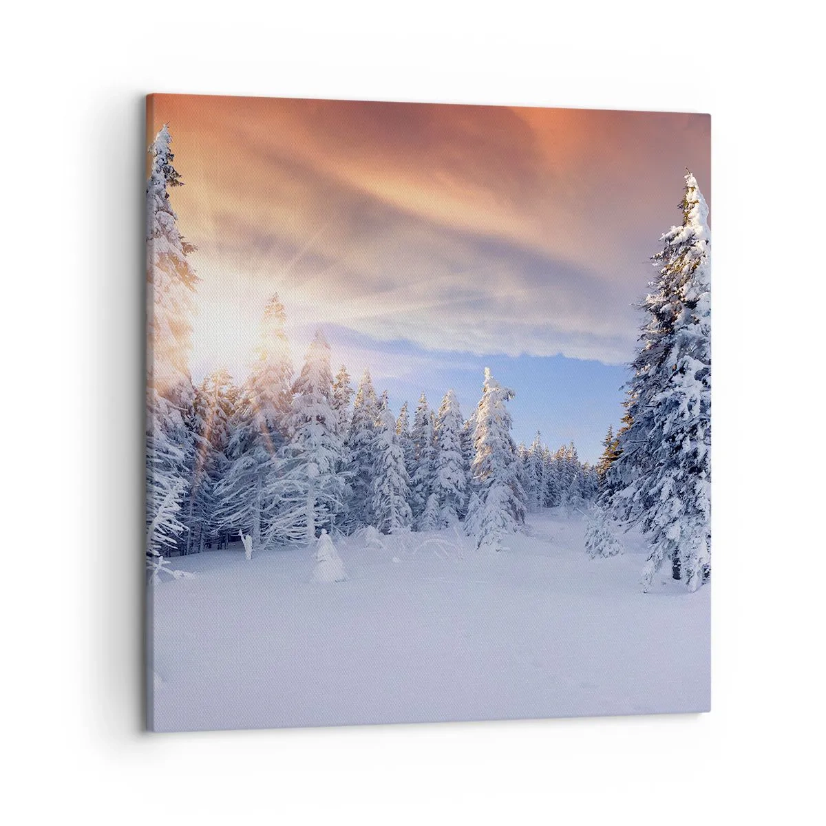 Impression sur toile - Image sur toile - Un spectacle enneigé de la nature - 50x50 cm
