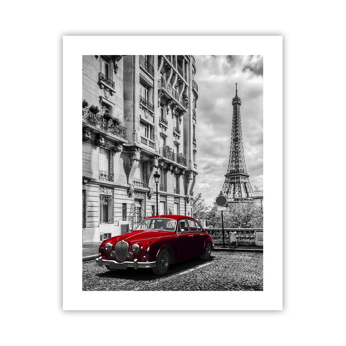 Affiche - Poster - Prédateur dans la ville - 40x50 cm