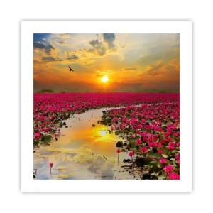 Affiche - Poster - La vie secrète du lac - 50x50 cm