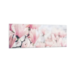 Impression sur verre - Image sur verre - Fleurs de magnolia subtiles aux délicates nuances roses - 140x50cm - Idéal de la subtilité - Décoration murale moderne pour le salon et la chambre ARTTOR