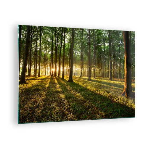 Impression sur verre - Image sur verre - Une clairière forestière illuminée par les rayons du soleil levant - 70x50cm - Toutes les photographies de printemps - Décoration murale moderne pour le salon et la chambre ARTTOR