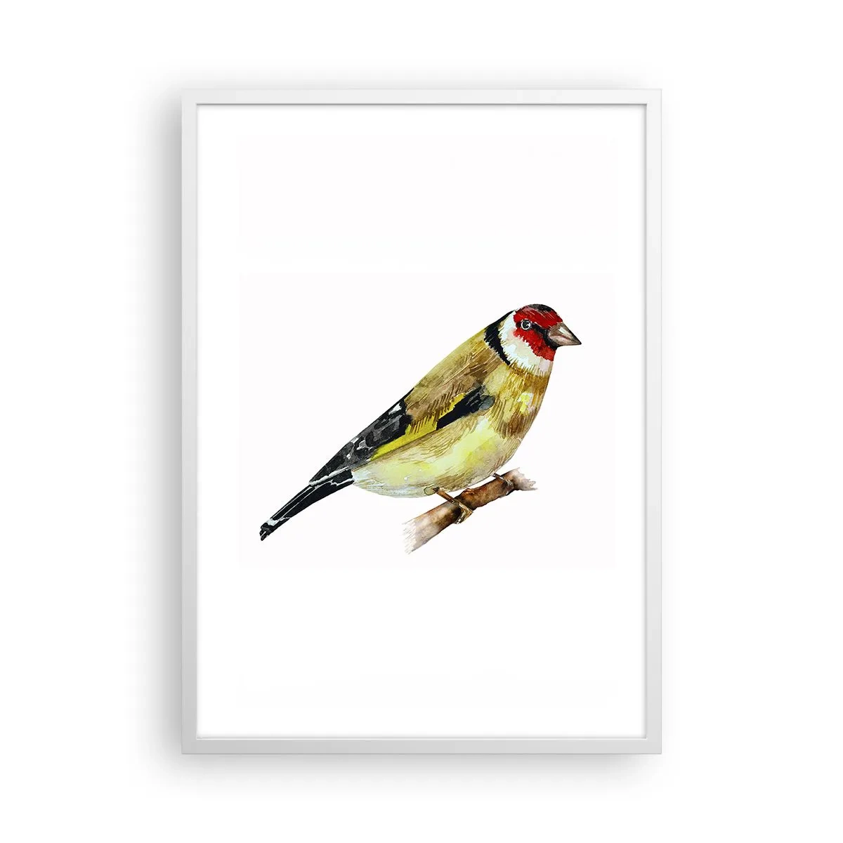 Affiche dans un cadre blanc - Poster - Portrait d'oiseau - 50x70 cm