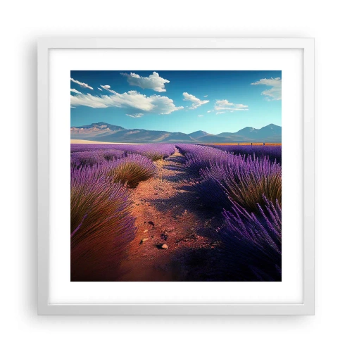 Affiche dans un cadre blanc - Poster - Champs parfumés - 40x40 cm