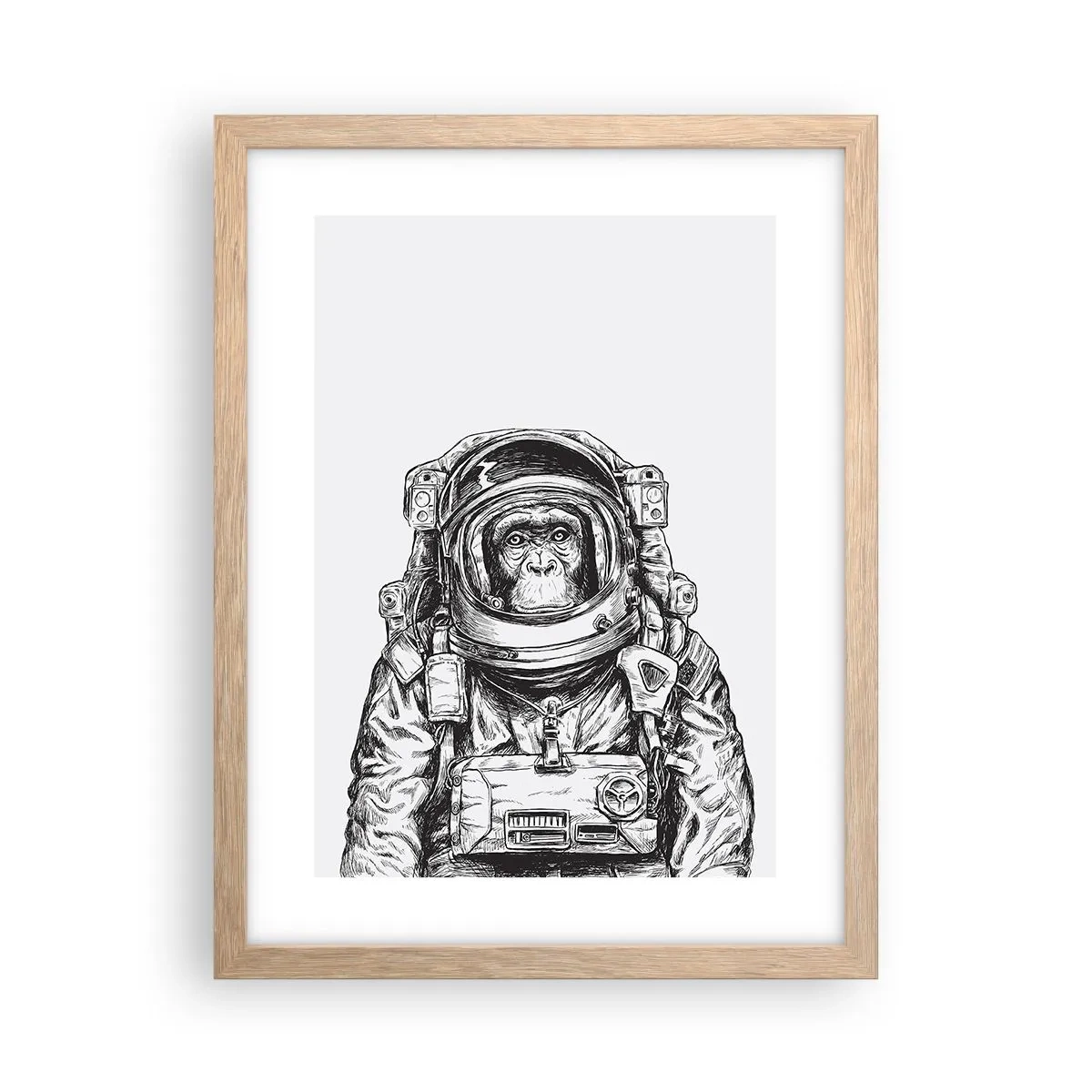 Affiche dans un chêne clair - Poster - Évolution alternative - 30x40 cm