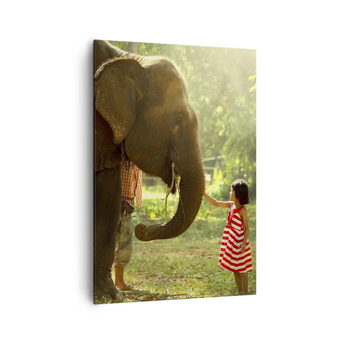 Impression sur toile - Image sur toile - Une fille en robe rouge touchant un éléphant dans la forêt. - 70x100cm - La force de l'amitié - Décoration murale moderne pour le salon et la chambre ARTTOR