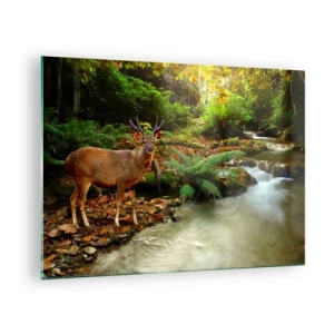 Impression sur verre - Image sur verre - Un cerf près d'un ruisseau dans une forêt ensoleillée - 70x50cm - Bienvenue dans mon monde - Décoration murale moderne pour le salon et la chambre ARTTOR
