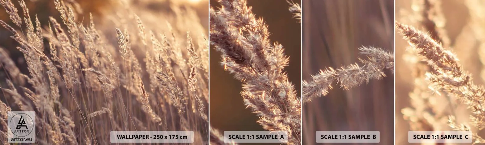 Échantillon De Papier Peint Standard Eco - Prêt à accueillir l'automne - Paysage, Épis de céréales, Prairie - 100x30 cm