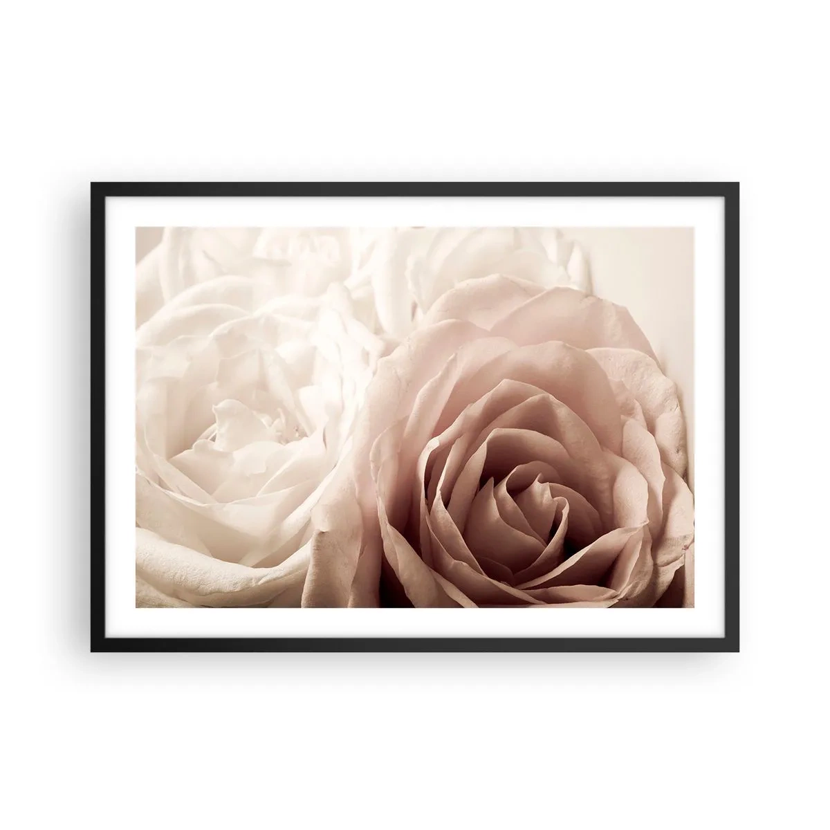 Affiche dans un cadre noir - Poster - Roses délicates dans des tons pastel de beige - 70x50cm - Au coeur d'ue la rose - Décoration murale moderne pour le salon et la chambre ARTTOR