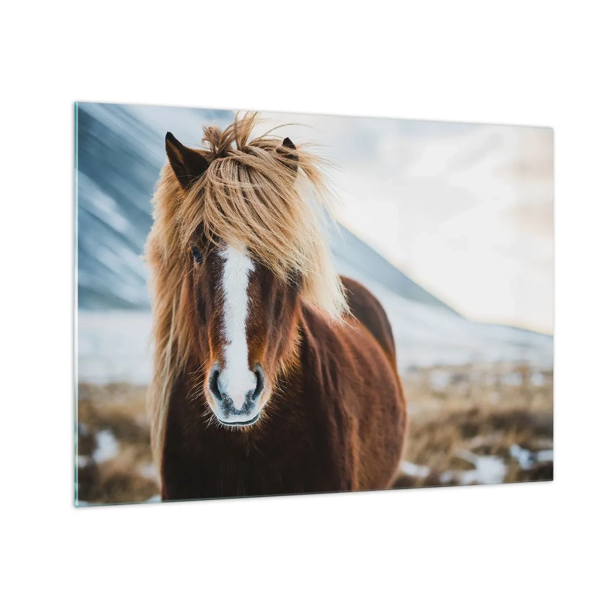 Impression sur verre - Image sur verre - Un cheval dans un paysage de montagne en hiver - 70x50cm - Sentez-vous la liberté ? - Décoration murale moderne pour le salon et la chambre ARTTOR