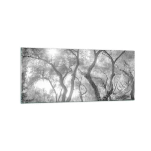 Impression sur verre - Image sur verre - Vue en noir et blanc d'arbres dans une oliveraie avec des rayons de soleil - 120x50cm - Dans l'oliveraie - Décoration murale moderne pour le salon et la chambre ARTTOR