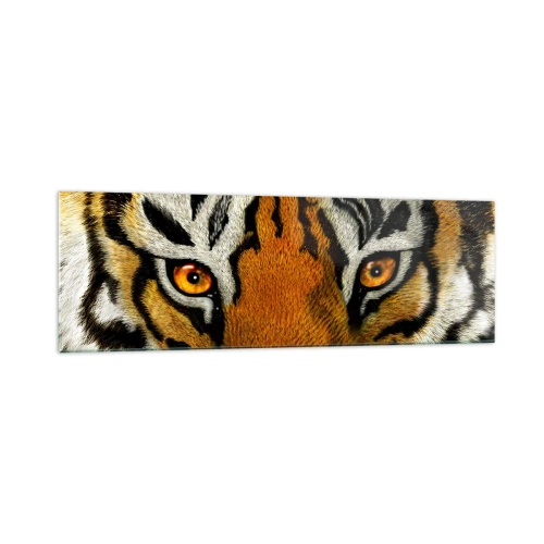 Impression sur verre - Image sur verre - Portrait en gros plan d'un tigre au regard intense - 160x50cm - Terrible et beau - Décoration murale moderne pour le salon et la chambre ARTTOR