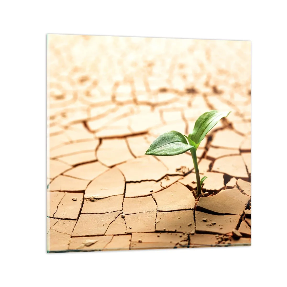 Impression sur verre - Image sur verre - La force indomptable de la vie - 60x60 cm