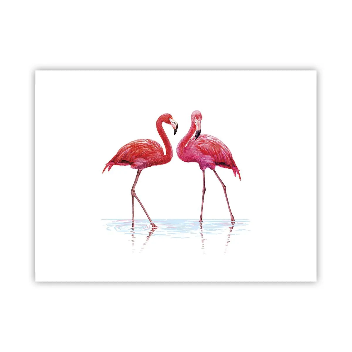 Affiche - Poster - Rendez-vous rose - 40x30 cm