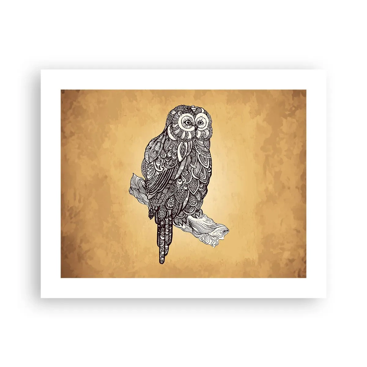 Affiche - Poster - Ornements complexes de sagesse - 50x40 cm