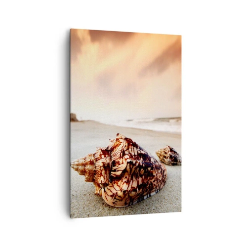 Impression sur toile - Image sur toile - Coquillages sur la plage au coucher du soleil - 80x120cm - Les parias des vagues - Décoration murale moderne pour le salon et la chambre ARTTOR