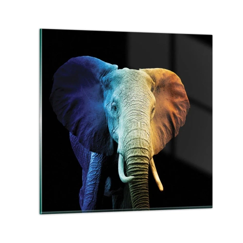 Impression sur verre - Image sur verre - Excentrique, pas bizarre - 40x40 cm