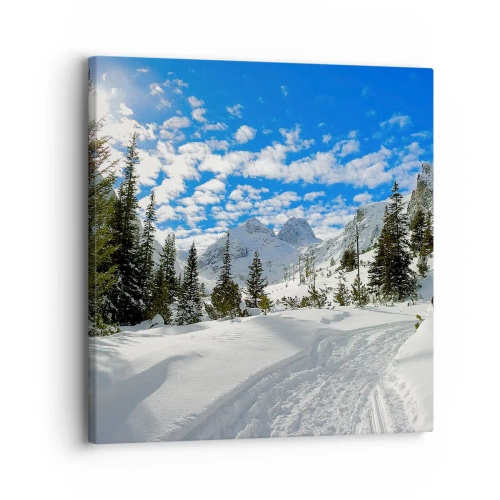 Impression sur toile - Image sur toile - Dans la neige et au soleil - 30x30 cm