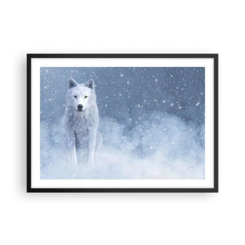 Affiche dans un cadre noir - Poster - Loup blanc dans un paysage enneigé - 70x50cm - Dans une âme d'hiver - Décoration murale moderne pour le salon et la chambre ARTTOR