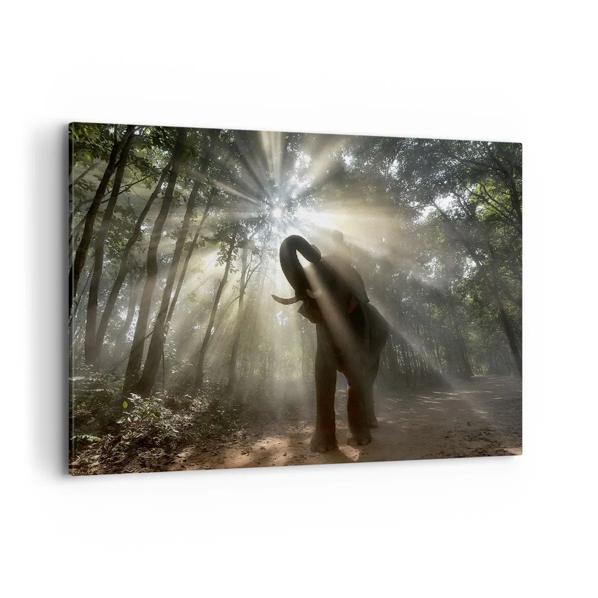 Impression sur toile - Image sur toile - Un éléphant dans la forêt entouré de rayons de lumière dans la brume matinale - 120x80cm - Sous la bonne étoile - Décoration murale moderne pour le salon et la chambre ARTTOR