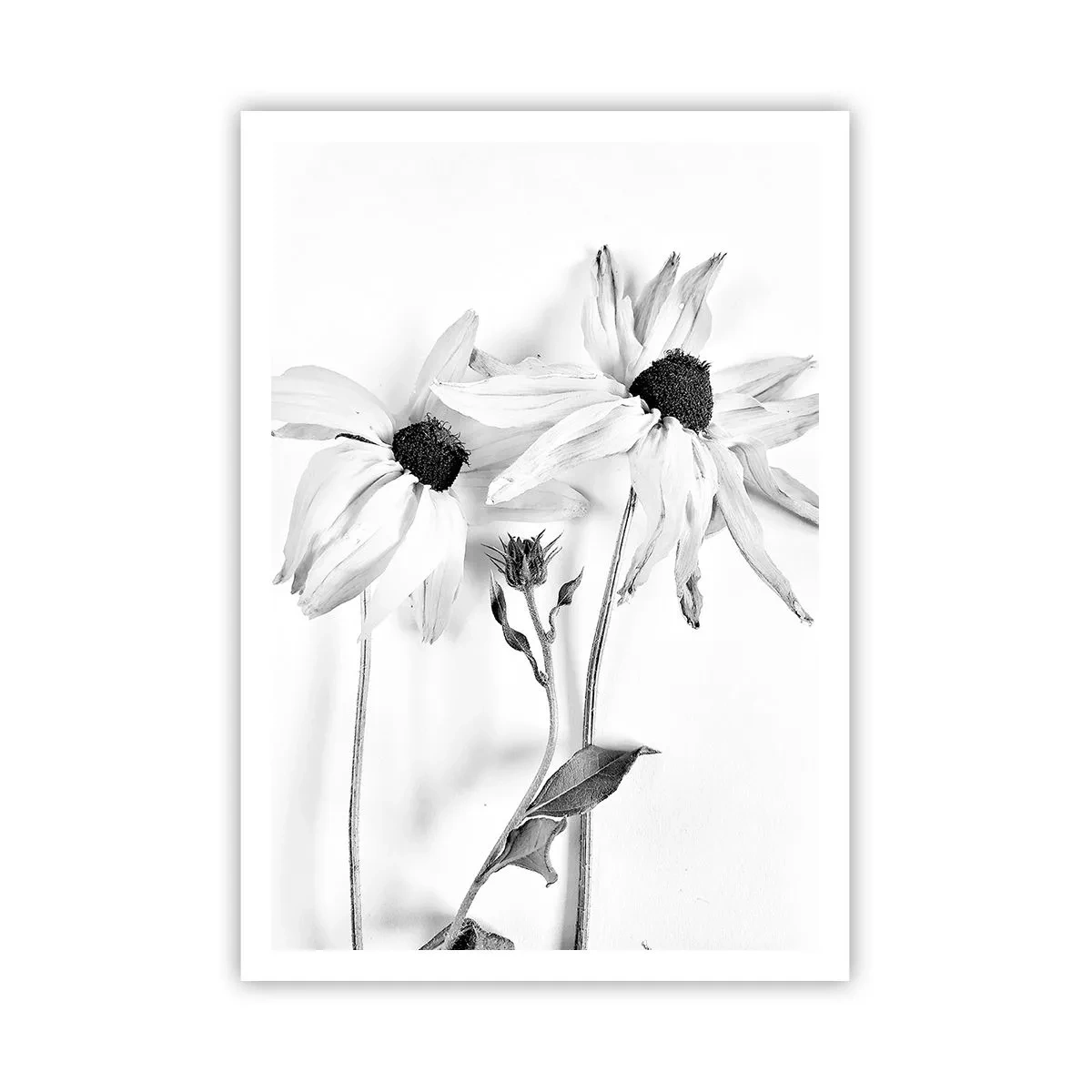 Affiche - Poster - Personne ne souhaite être seul - 70x100 cm